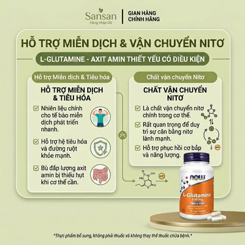 Viên uống NOW L-Glutamine 500mg 120 viên – Hỗ trợ chức năng miễn dịch, vận chuyển nitơ, bổ sung axit amin