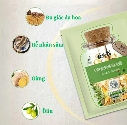 Dầu Gội Nhuộm Tóc Thảo Mộc Hộp 10 Gói , Dầu Gội Phủ Bạc Nhuộm Tóc Đen, Nâu Nuôi Dưỡng Tóc Óng Mượt