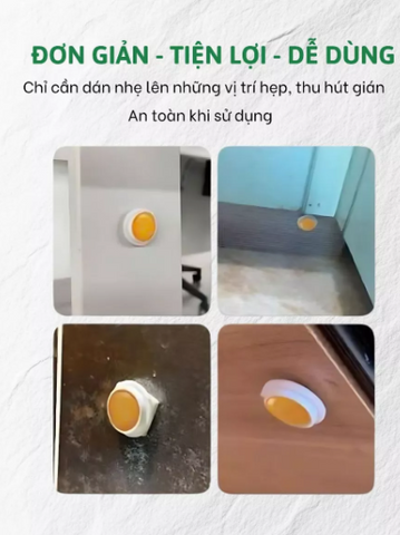 Viên diệt gián sinh học AMB, Viện Hàn lâm khoa học Việt Nam, diệt tận gốc tất cả các loại gián an toàn hiệu quả