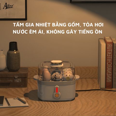 Máy hấp thực phẩm 2 tầng 300W ALIZZ AL-14551 (Màu ngẫu nhiên) (TH84)