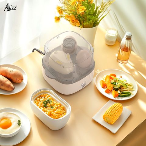 Máy hấp thực phẩm 2 tầng đa năng ALIZZ AL-14550 (TH85)