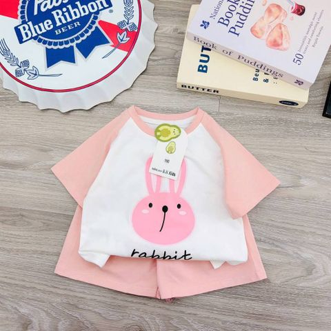 Bộ thun cotton thỏ con cute dễ thương đáng yêu phong cách hàn quốc mùa hè mát mẻ cho bé