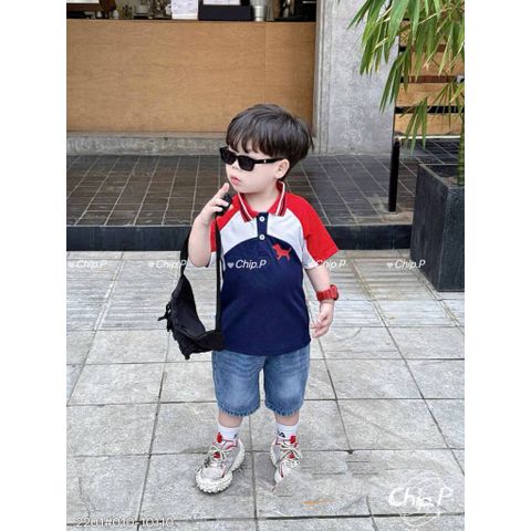 Set áo polo chó con phối màu kèm quần short jean boy phố công tử cho bé trai mùa hè mát mẻ mặc đi chơi hot hit