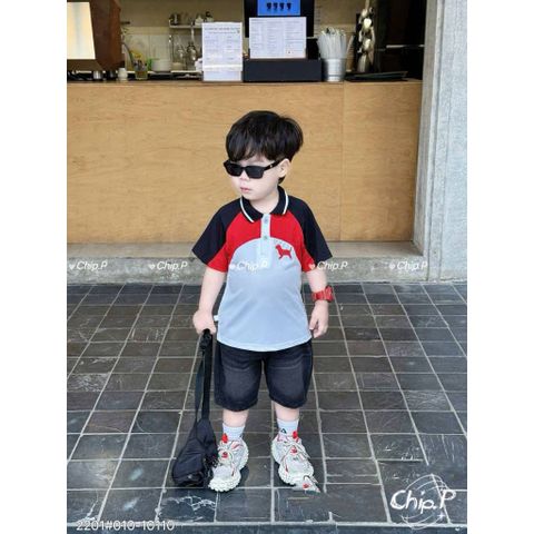 Set áo polo chó con phối màu kèm quần short jean boy phố công tử cho bé trai mùa hè mát mẻ mặc đi chơi hot hit
