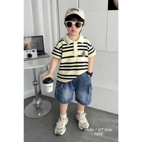 Set áo polo gấu kẻ kèm quần short jean túi hộp cho bé trai mùa hè mặc đi chơi đi học
