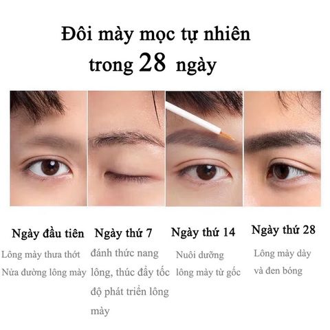 Dưỡng mày Tinh chất tăng trưởng lông mày Kích Thích Mọc Râu Mọc Lông Mày 30ml Kích thích mọc lông mày, giúp lông mày