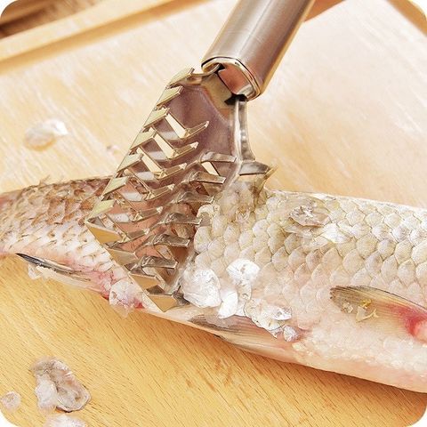 Dụng cụ đánh vảy cá (TH208)