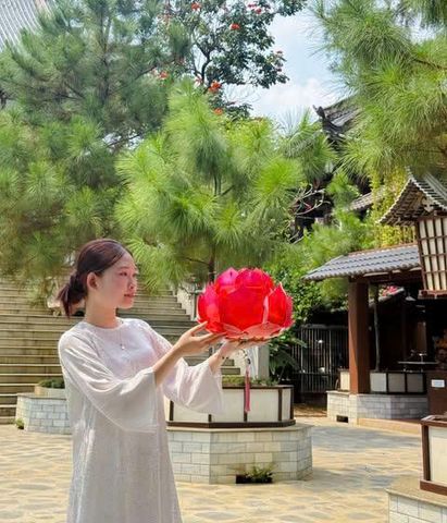 Lồng Đèn Hoa Sen Nhựa Trang Trí Phật Đản Mới Nhất (Nhiều Màu)