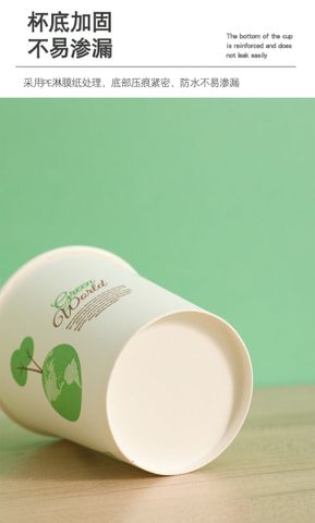 Set 50 ly giấy Gấu Trúc tiện lợi, an toàn, tiện dụng (Th241)