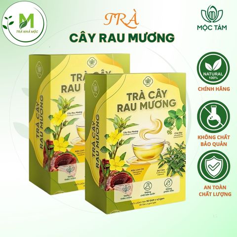 Trà Cây Rau Mương Mộc Tâm, Chè Dây, Dạ Cẩm, Nấm Linh Chi Hỗ Trợ Viêm Loét- Trào Ngược- HP Dạ Dày, Cải Thiện Tiêu Hóa, Hộp 30 Túi Lọc Tiện Lợi.