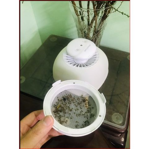 Đèn Bắt Muỗi Kết Hợp Đèn Ngủ REVA 2IN1