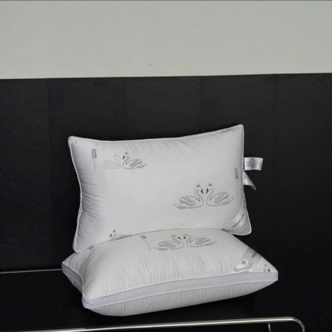 Set 2 gối Moncler size 48x74cm 735373
