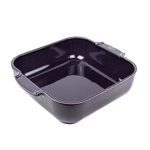 Khay Nướng Vuông Peugeot Appolia 28cm