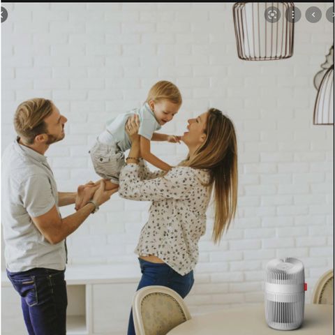 Máy lọc không khí Boneco P130