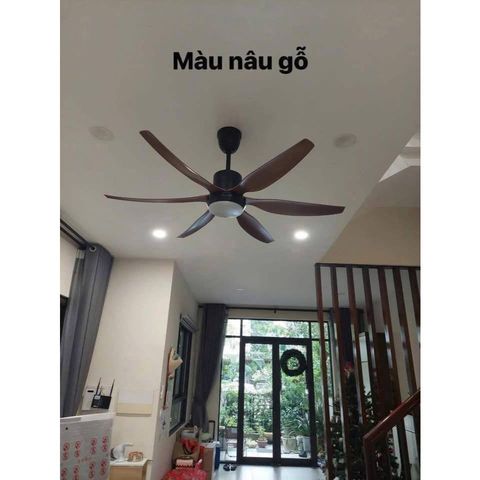 Quạt trần đèn CeilingFanking QT-001