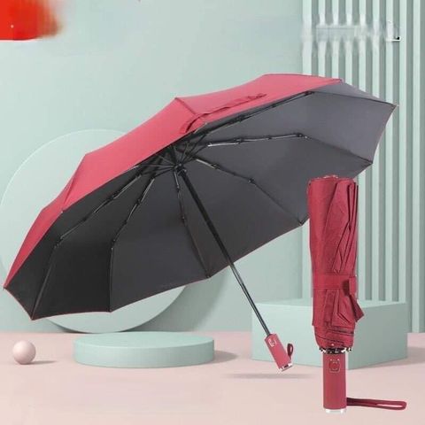 Ô thông minh tự động UV Ajisai Made in Japan 737190