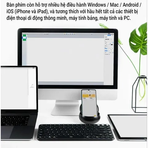 Bàn Phím Không Dây Bluetooth MIIIW Keyboard Air 85 MWXKT01, USB 2.4GHz Kết Nối 2 Thiết Bị 737378