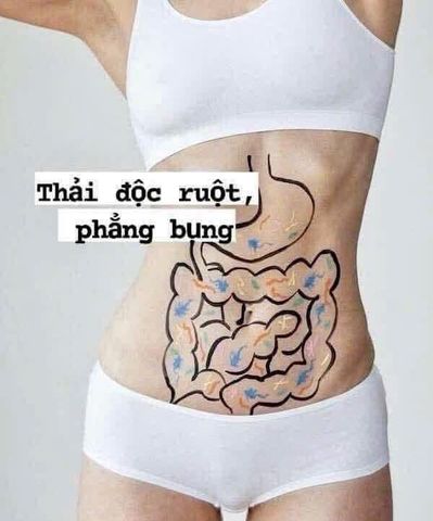 Phẳng Bụng 7 ngày detox ruột Extra Ventre Plat hàng pháp