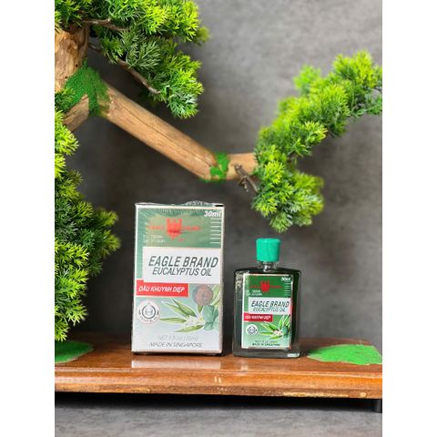Dầu khuynh diệp Con Ó Eagle Brand Eucalyptus Oil 30ml