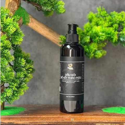 Dầu gội bồ kết thảo mộc Escoco 250ml (không cay mắt)