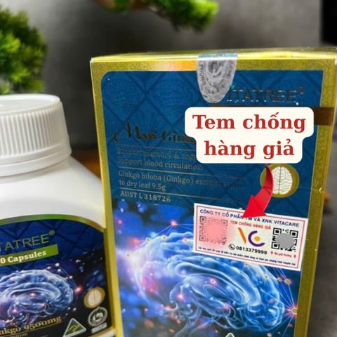 [Nhập khẩu chính ngạch] Vitatree Maxi Ginkgo 9500mg Max - Viên uống giúp tăng tuần hoàn não (60 viên)