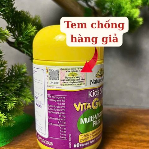 [Nhập khẩu chính ngạch] Nature's Way Kids Smart Vita Gummies Multi-Vitamin - Kẹo dẻo giúp tăng cường sức khỏe (60 viên)