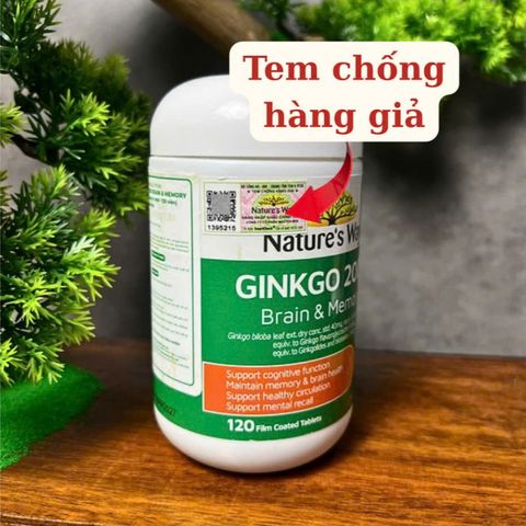 [Nhập khẩu chính ngạch] Viên uống Nature’s Way Ginkgo 2000 - Hỗ trợ phát triển não bộ (120 viên)