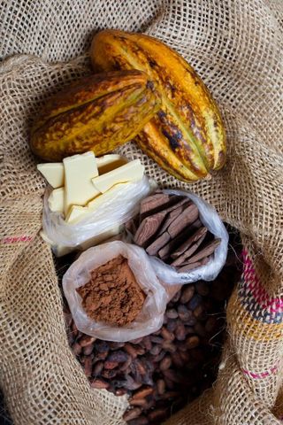 Cacao Mass 100% Nguyên Chất bơ cacao (cocoa liquor) - Socola Đen 100 Nguyên Chất DEVA- giảm cholesterol, chống oxy hóa