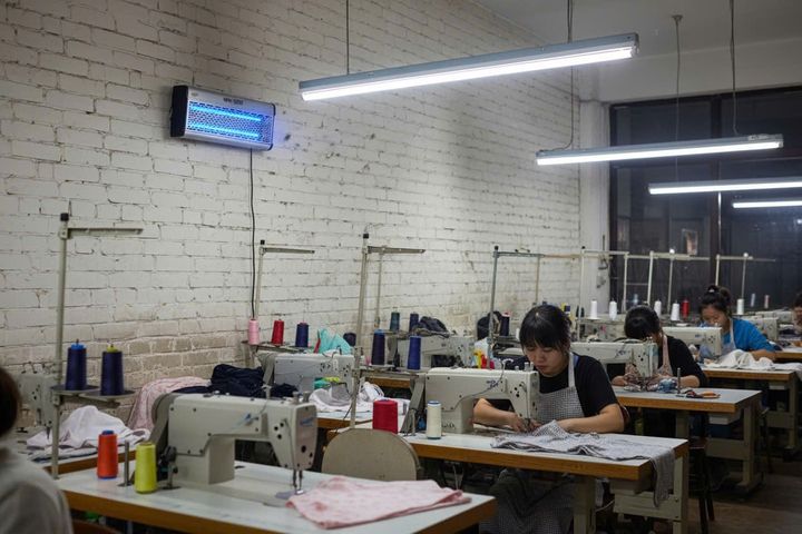 Đèn diệt côn trùng WINPEST WIN-40W - Đèn bắt muỗi hiệu quả cho diện tích 120-150m2, bảo hành 36 tháng, công nghệ Anh Quốc