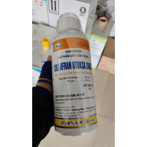 CHLORFRAN 240SC 1LÍT dùng để trị sâu cuốn lá, nhện đỏ, thrips (bọ trĩ) đã kháng thuốc,Diệt phòng mối,Diệt muỗi gián kiến