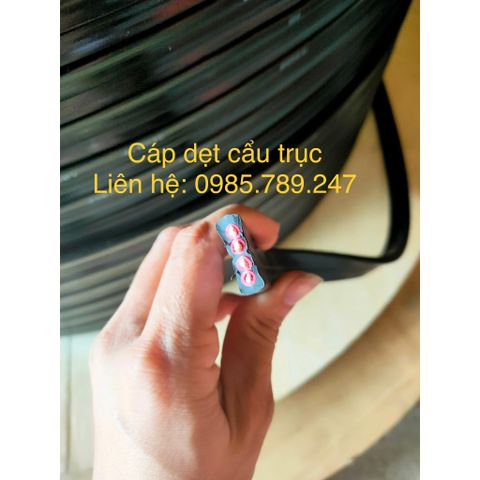 Cáp dẹt (cáp dẹp) cho pa lăng, cẩu trục, máy móc thiết bị công nghiệp 4x1.5, 4x2.5, 4x4, 4x6, 12x1.5, 16x1.5, 3x4+6x1.5