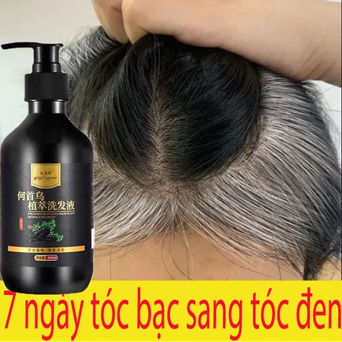 Tóc chuyển sang màu đen dầu gội đầu, tóc trắng Dầu gội đầu chuyển sang màu đen Dầu gội thảoo dượcc tự nhiên Sửa chữaa tóc