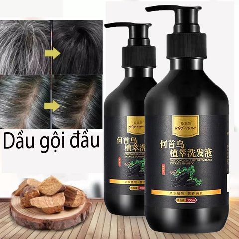Tóc chuyển sang màu đen dầu gội đầu, tóc trắng Dầu gội đầu chuyển sang màu đen Dầu gội thảoo dượcc tự nhiên Sửa chữaa tóc