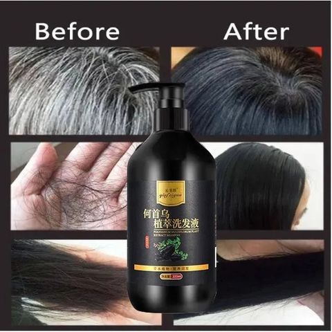 Tóc chuyển sang màu đen dầu gội đầu, tóc trắng Dầu gội đầu chuyển sang màu đen Dầu gội thảoo dượcc tự nhiên Sửa chữaa tóc