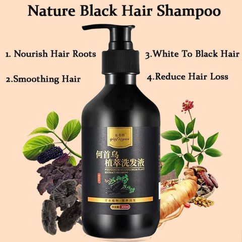 Tóc chuyển sang màu đen dầu gội đầu, tóc trắng Dầu gội đầu chuyển sang màu đen Dầu gội thảoo dượcc tự nhiên Sửa chữaa tóc