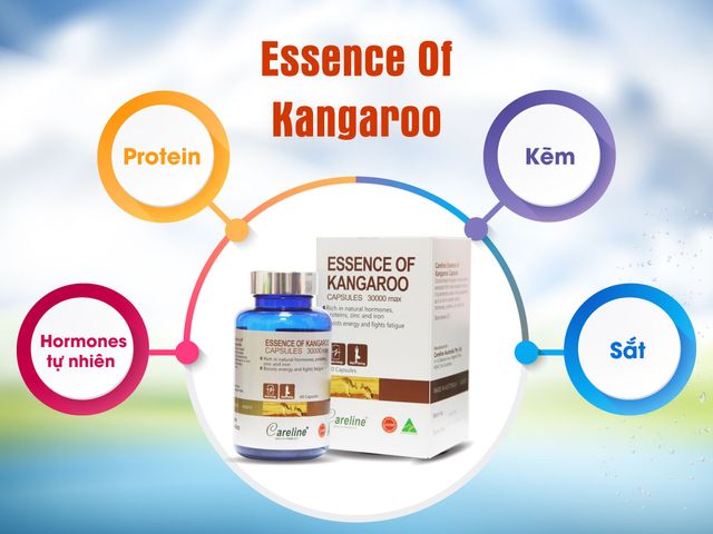 [Nhập khẩu] Essence Of Kangaroo Careline  - Hỗ trợ tăng cường sức khỏe nam giới (Hộp 60v)