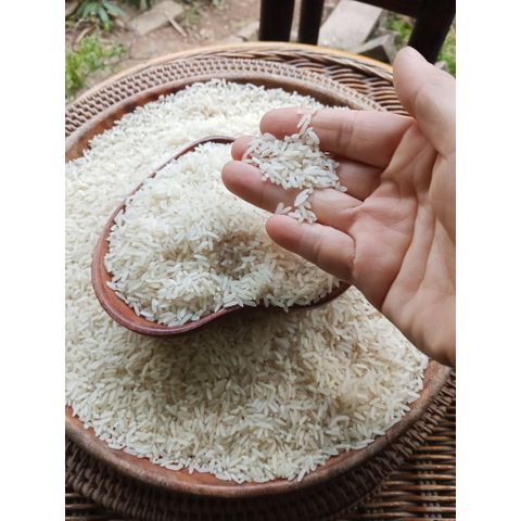 GẠO XAY XÁT TƯƠI, NHIỀU CÁM ĐẾN TỪ QUÊ LÚA, GIÀU DINH DƯỠNG, GIÚP KIỂM SOÁT ĐƯỜNG HUYẾT, HỖ TRỢ TIÊU HÓA, LÀM ĐẸP DA