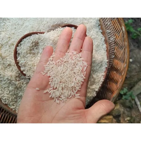 GẠO XAY XÁT TƯƠI, NHIỀU CÁM ĐẾN TỪ QUÊ LÚA, GIÀU DINH DƯỠNG, GIÚP KIỂM SOÁT ĐƯỜNG HUYẾT, HỖ TRỢ TIÊU HÓA, LÀM ĐẸP DA
