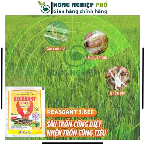 Chế Phẩm Trừ Sâu Sinh Học REASGANT 3.6EC Multiagro - Diệt Sạch Các Loại Sâu, Nhện Kháng Thuốc Hiệu Quả Cực Cao An Toàn 739206