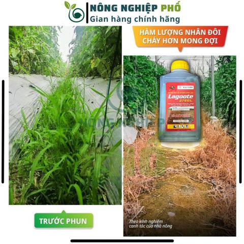 Thuốc trừ cỏ cháy nhanh Lagoote 276SL Multiagro chai lớn 1L, Diệt cỏ lưu dẫn mạnh, diệt tận gốc rễ cỏ hiệu quả nhanh 739225