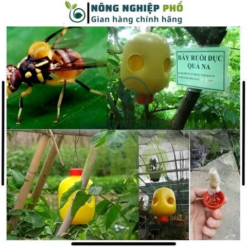 [KHUYẾN MÃI] Combo Thuốc Dẫn Dụ Và Thuốc Diệt Ruồi Vàng Đục Trái VIZUBON - D Multiagro [Tặng Kèm Bẫy Nhựa Ruồi Vàng] 739232