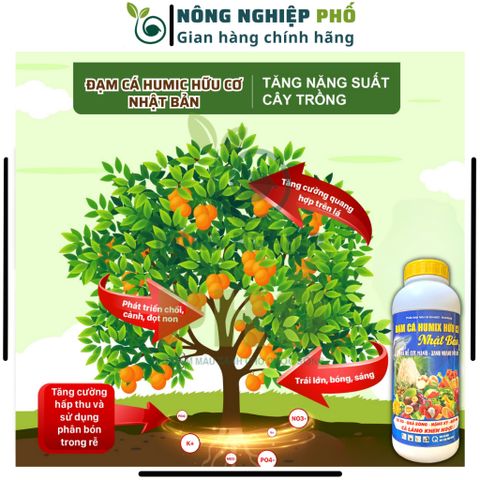 Phân Bón ĐẠM CÁ HUMIC Nhật Bản Ra Rễ Cực Mạnh, Xanh Nhanh Tốt Bền Cho Các Loại Cây Trồng, Hoa Kiểng, Rau Màu 739248