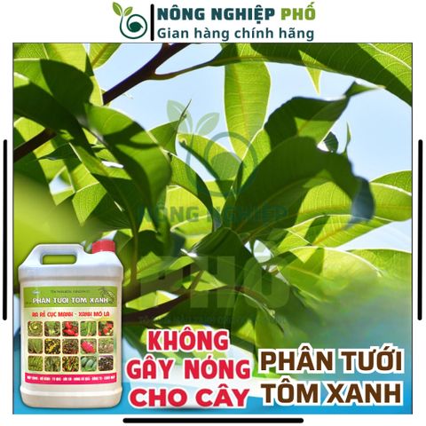 Phân tưới Tôm xanh can 5Lít cho cây cảnh, cây kiểng, rau màu, hoa...- Tăng năng suất, chất lượng cây trồng 739253
