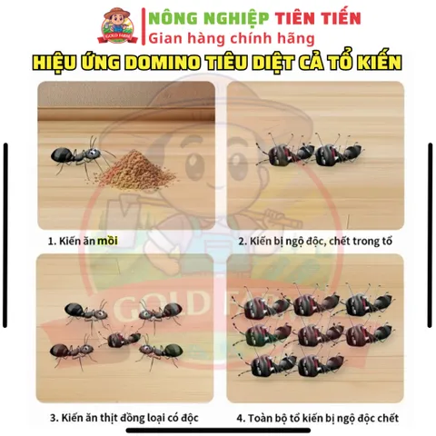 [CHÍNH HÃNG GIÁ TỐT] Quản Lý Kiến Gián Côn Trùng Nhanh Hiệu Quả FINICO 800 - Dùng Trong Nhà Ở, Cây Trồng, Chuồng Trại 739250
