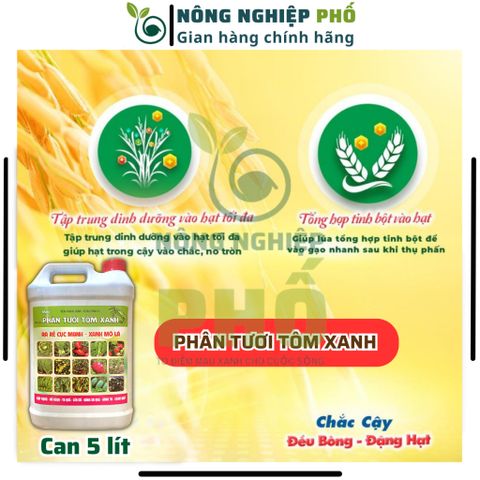 Phân tưới Tôm xanh can 5Lít cho cây cảnh, cây kiểng, rau màu, hoa...- Tăng năng suất, chất lượng cây trồng 739253