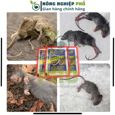 Thuốc Diệt Chuột KILlMOU2.5DP(Gói 10g) GIẢI PHÁP NÔNG NGHIỆP TIÊN TIẾN Thế Hệ Mới, Hiệu Quả Cao, Cam Kết Diệt Sạch Chuột 739276