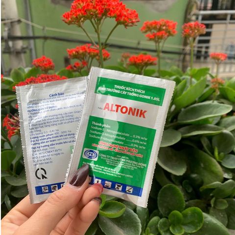 [GIÁ SỈ TẠI KHO] Hộp 10 GÓI Thuốc Kích Thích Sinh Trưởng Cực Mạnh ALTONIK 1.8SL Kích Rễ Cực Mạnh, Bật Mầm Ra Chồi Nhanh 739284