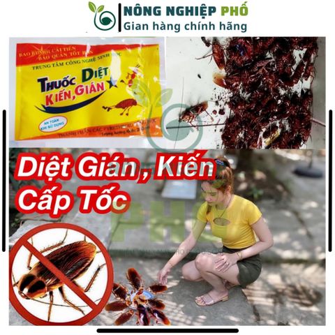 Trừ kiến, gián sinh học gói 20g an toàn, Bột rắc kiến, gián - Chế phẩm xua đuổi Kiến, Gián 739282