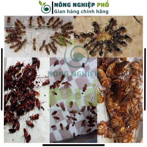 Trừ kiến, gián sinh học gói 20g an toàn, Bột rắc kiến, gián - Chế phẩm xua đuổi Kiến, Gián 739282
