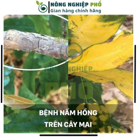 Thuốc Trừ Nấm Bệnh Thối Rễ Thán Thư Chết Nhanh Đốm Lá Cây Trồng, Hoa, Cây Kiểng Multiagro Ridomil Gold 68WP (Gói 100g)Th 739285